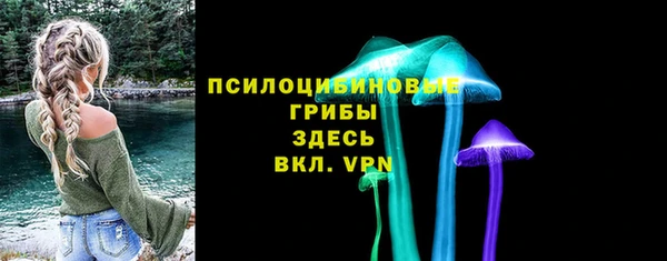 гидра Бежецк