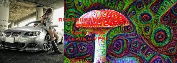 MDMA Новодвинск