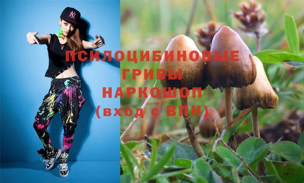 MDMA Новодвинск