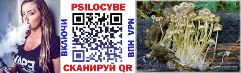 Псилоцибиновые грибы Magic Shrooms  ОМГ ОМГ   Протвино 